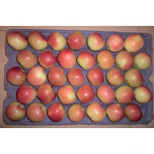 2015 Neue Frucht Frische Früchte Frische Gala Apfel